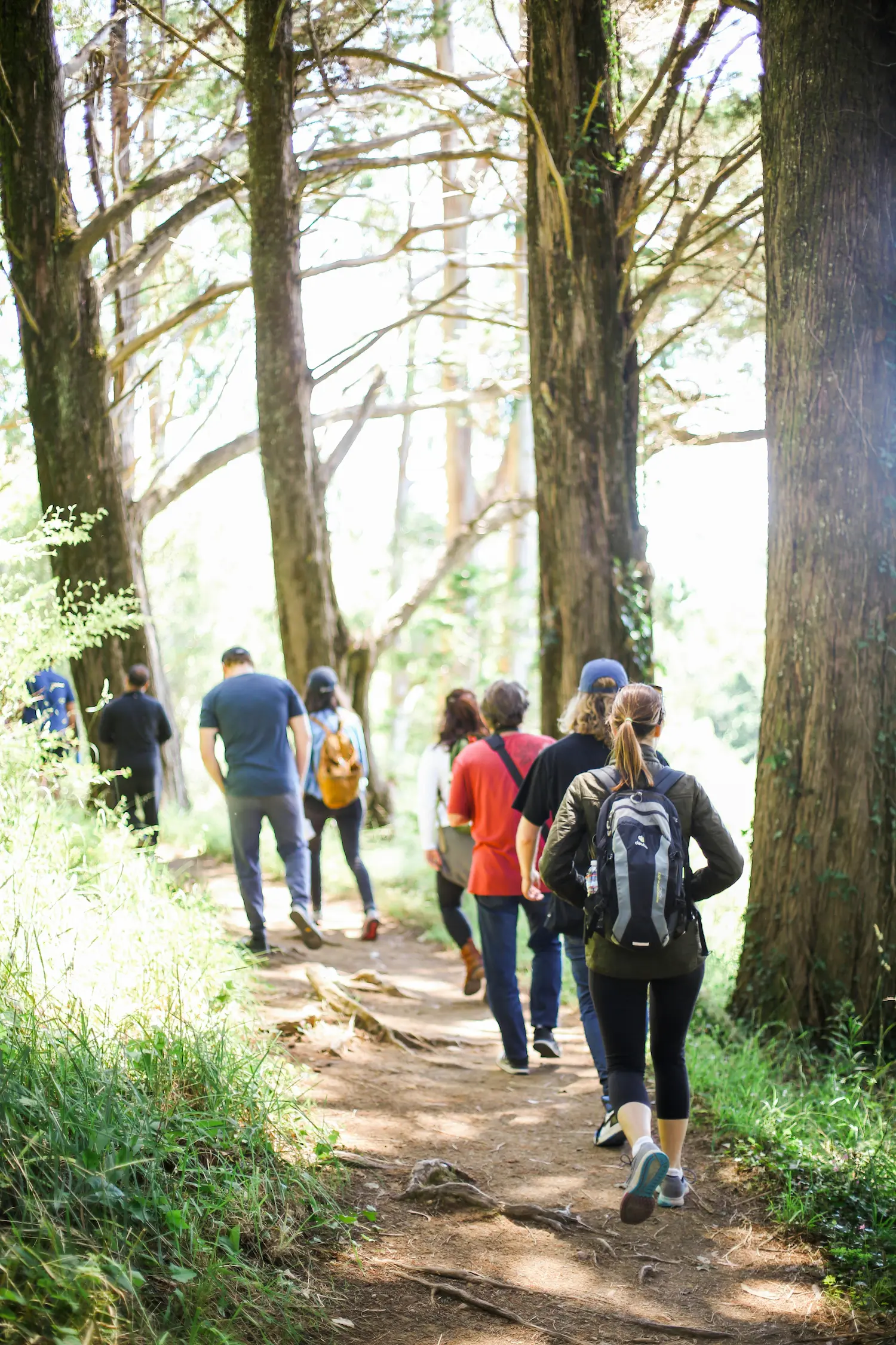 people walking in a wood